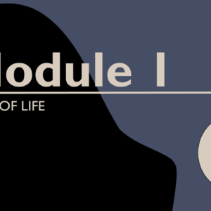Module 1