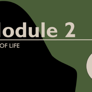 Keys of Life Module 2: Working with students who have anxiety and/or ADHD
